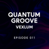 Cover Vexlum - Quantum Groove 011 Vexlum - Quantum Groove 011