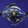 Cover I.AM - Time Back (Radio Edit) I.AM - Time Back (Radio Edit)