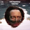 Cover Thundercat - Friend Zone Thundercat - Friend Zone