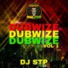 Dj Stp & Jamie Bostron - Change Dem Ways