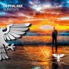 Cover DJ Phalanx - Sunstate (Extended Mix) DJ Phalanx - Sunstate (Extended Mix)