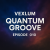 Cover Vexlum - Quantum Groove 010