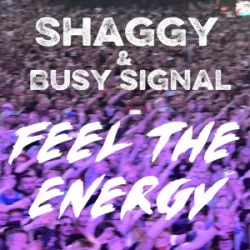 Cover Shaggy & Busy Signal - Feel The Energy