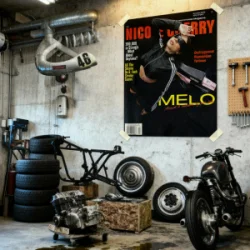 Cover Nicole Cherry - Melo