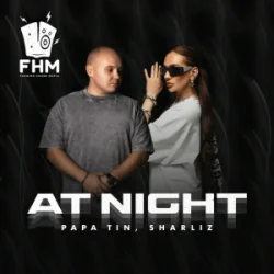 Cover Papa Tin & Sharliz - At Night