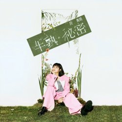 Cover Clare Duan - Half-Cooked