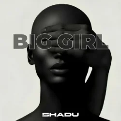 Cover SHADU - Boom Boom