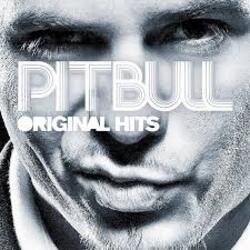 Cover Pitbull - Voodoo