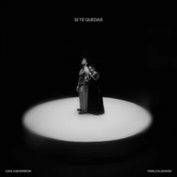 Cover Carla Morrison & Pablo Alborán - Si Te Quedas