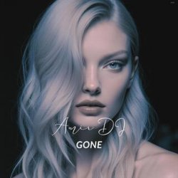 Cover Amir DJ - Go Away