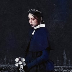 Cover 163 braces - Find
