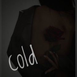 Cover Dos Ton - Cold