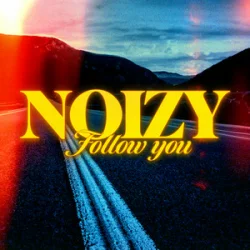 Cover Noizy - Follow You
