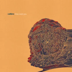 Cover Calibre - dim light