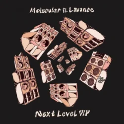 Cover Molecular & Lavance - Next Level (VIP)