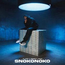 Cover Al Xapo & Benzoo & EeQue - SNOKONOKO