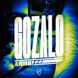 Cover Ariis - Gozalo (Slowed)