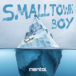 Cover Bronski Beat - Smalltown Boy (Mentol Cover Remix)