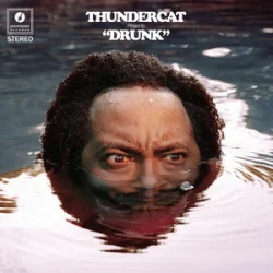 Cover Thundercat - Friend Zone