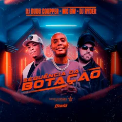 Cover DJ Ryder & Dj Dudu Coupper & Mc Gw - Sequência da Botação (Slowed)