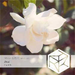 DJ Classbuse & SINKin - Zhizi (Orchestral Mix)