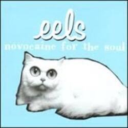 Cover Eels - Novocaine For the Soul