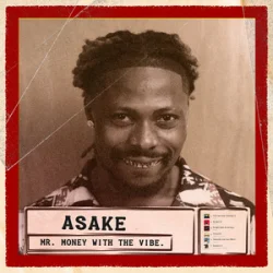 Cover Asake - Dull