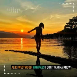 Cover Aliki Westwood & Highpass - I Don't Wanna Know (Club Mix)