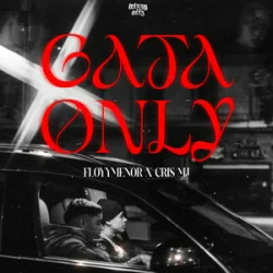 Cover FleyMianer & Cris MJ - Gata Only