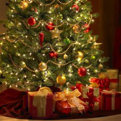 Cover Acting Lovers - Under the christmas tree