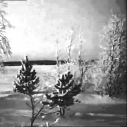 Cover Валентина Дворянинова - Песенка про зиму