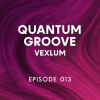Cover Vexlum - Quantum Groove 013 Vexlum - Quantum Groove 013