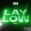 Cover Tiesto - Lay Low (Arem Ozguc & Arman Aydin Remix) Tiesto - Lay Low (Arem Ozguc & Arman Aydin Remix)