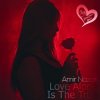 Cover Amir Nazari - Love Alone Is The True Amir Nazari - Love Alone Is The True