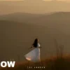 Cover The Shadow - The lesson of love The Shadow - The lesson of love