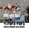 Cover Pops-Pups - Ненастоящий Дед Мороз Pops-Pups - Ненастоящий Дед Мороз