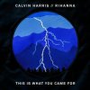 Cover Calvin Harris feat. Rihanna - This Is What You Came For Calvin Harris feat. Rihanna - This Is What You Came For