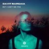 Davit Barqaia - But I Can t See You