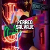 Cover Don Omar - Dale Don Dale Don Omar - Dale Don Dale