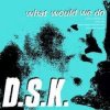 Cover DSK - What Would We Do (Original Mix) DSK - What Would We Do (Original Mix)