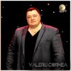 Cover Valeriu Cornea - Cinci chiperi Valeriu Cornea - Cinci chiperi
