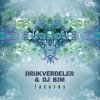 Cover Astrix - Type 1 (Drukverdeler & DJ Bim Remix) Astrix - Type 1 (Drukverdeler & DJ Bim Remix)