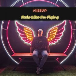 Cover Missud - What Are You Waiting For