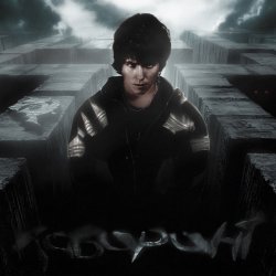 Cover Dubinin - Лабиринт
