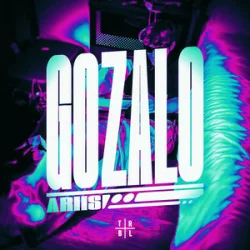 Cover Ariis - GOZALO (Ultra Slowed)