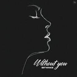 Cover Bitwake - Without You