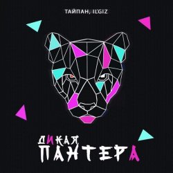 Cover Тайпан feat. IL'GIZ - Дикая Пантера
