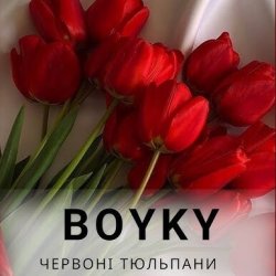 Cover Бойки - Червоні тюльпани