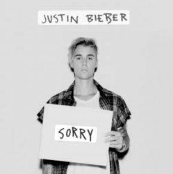 Cover Justin Bieber - Sorry