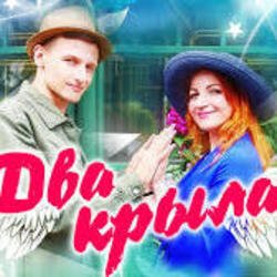 Cover Два крила - Пісня